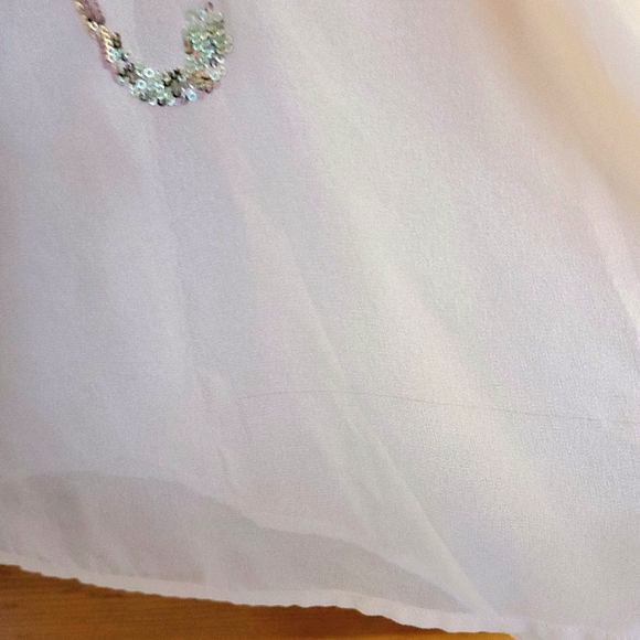 BOGO Express Sheer Champagne colored Top w/ Sequin design & Lace back size MED - Picture 12 of 13